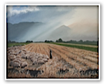 Fields Near The Western Mountains by Muna Shabab