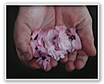 Free Grace by Muna Shabab