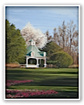 Gazebo by Muna Shabab